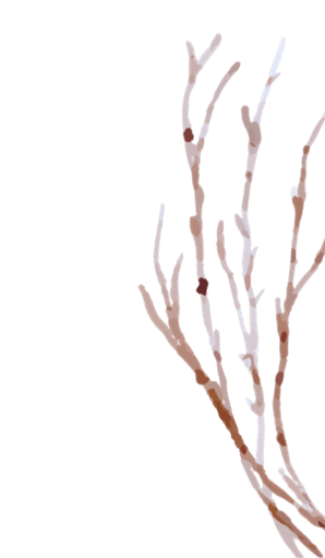 foreverr.id-buat-flowerbuttonr