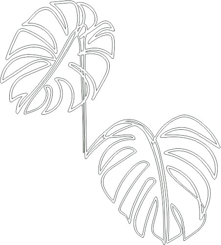 MONSTERA LEAF