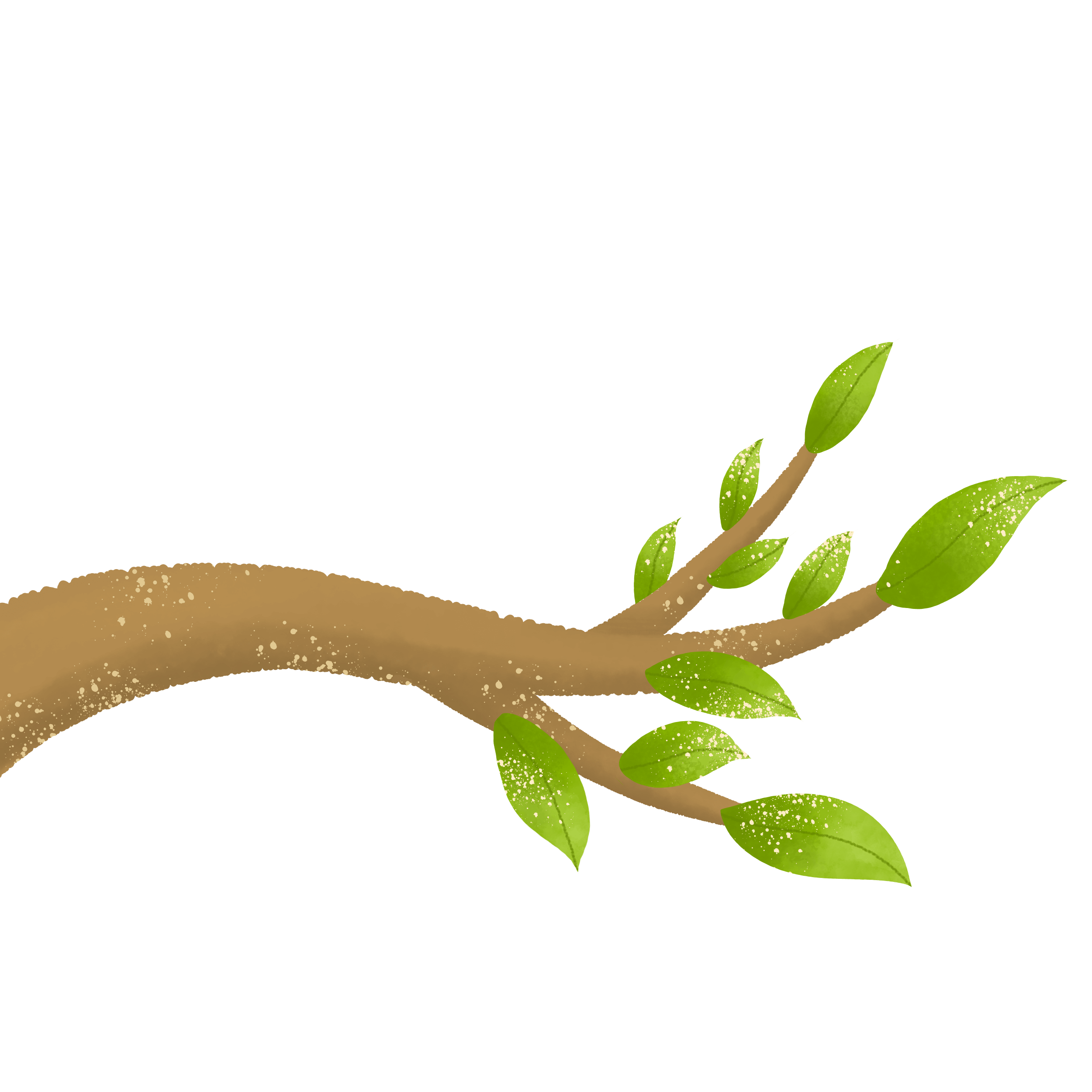 —Pngtree—cute tree branch_7514708 (1)